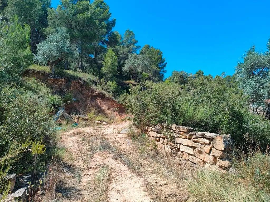 Finca en Venta en Calaceite