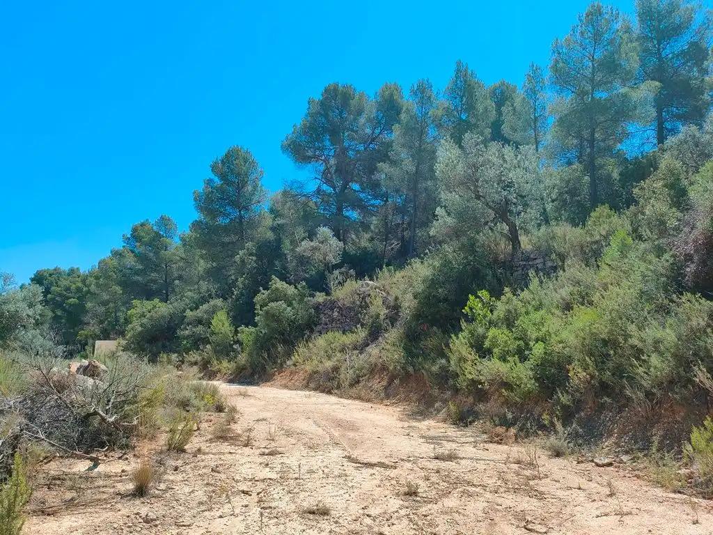 Finca en Venta en Calaceite
