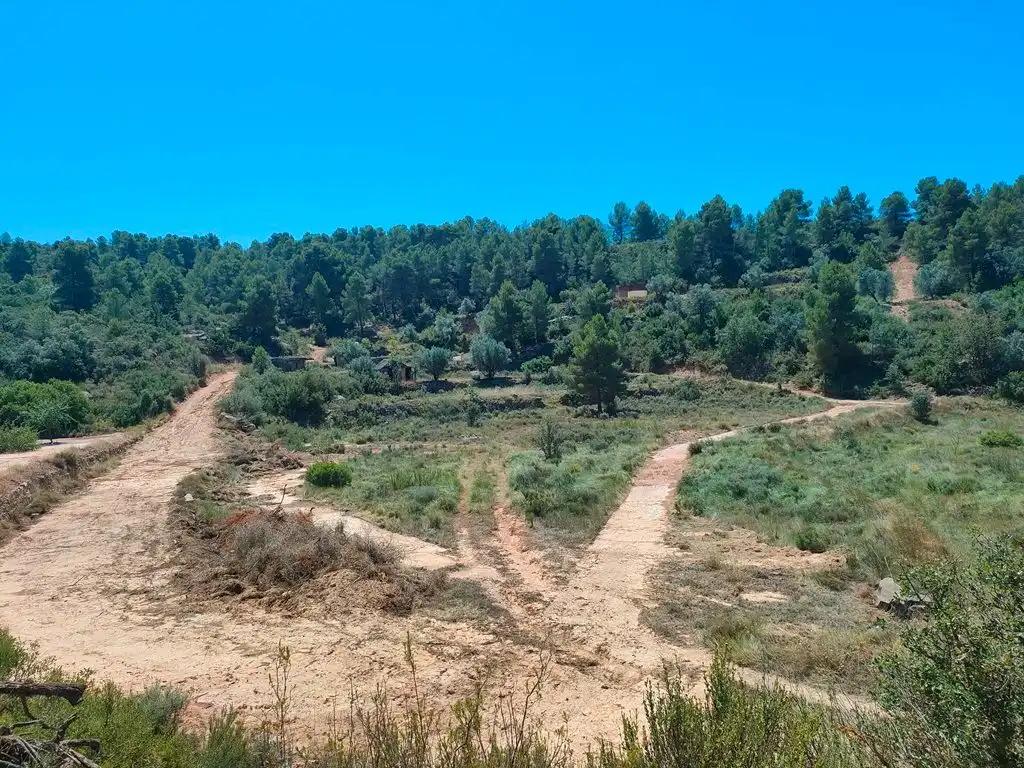 Finca en Venta en Calaceite