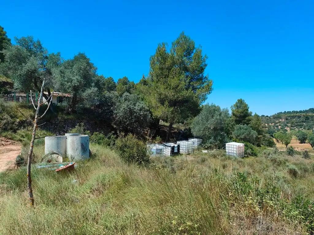 Finca en Venta en Calaceite