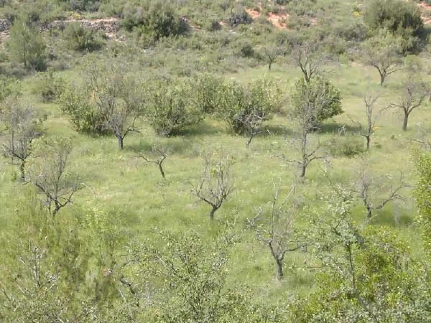 Finca en Venta en Cretas