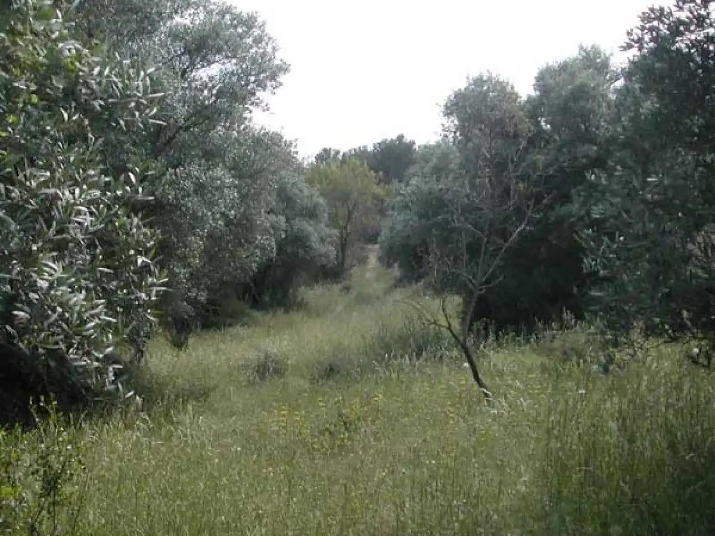 Finca en Venta en Cretas