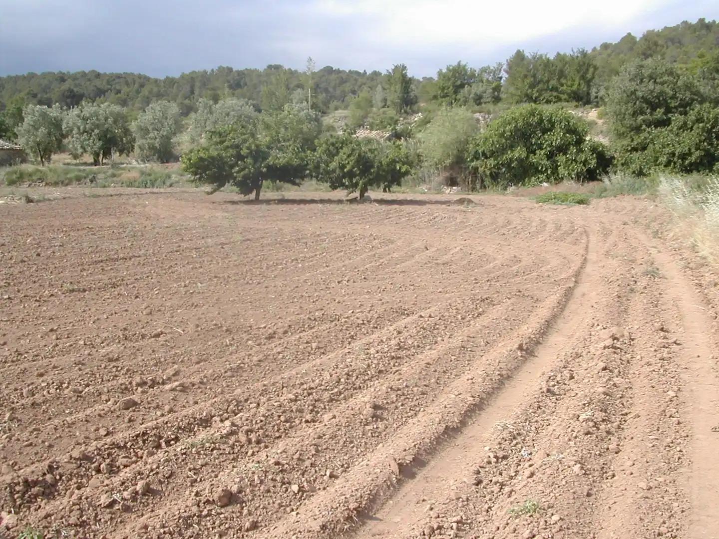 Finca en Venta en La Portellada