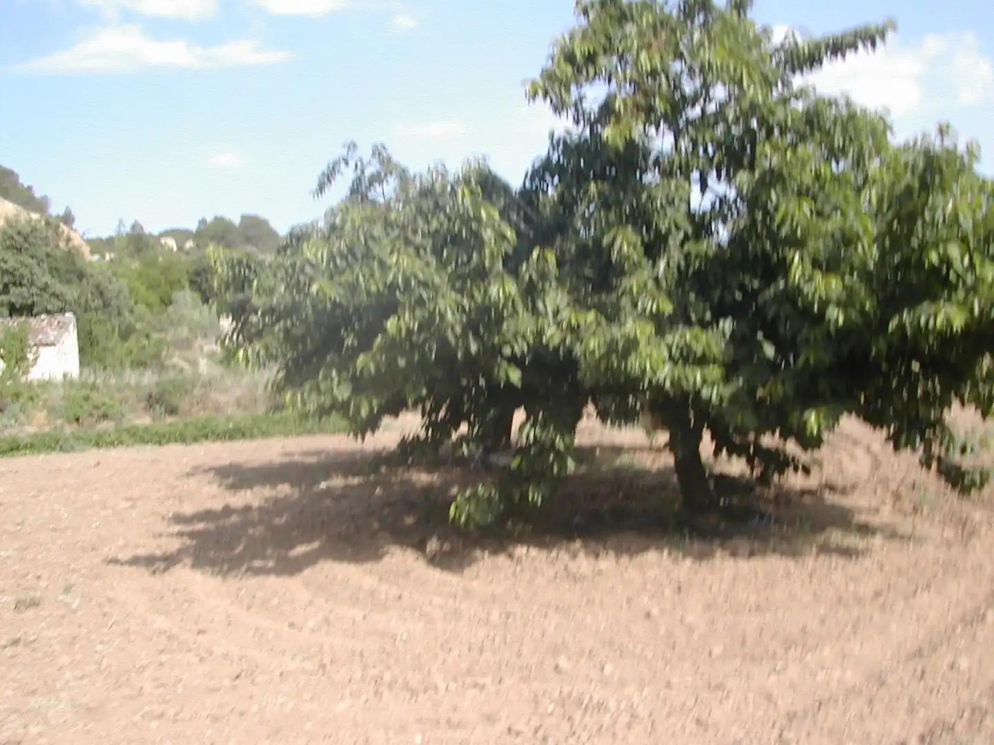 Finca en Venta en La Portellada