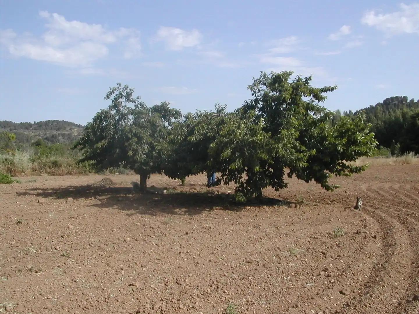 Finca en Venta en La Portellada
