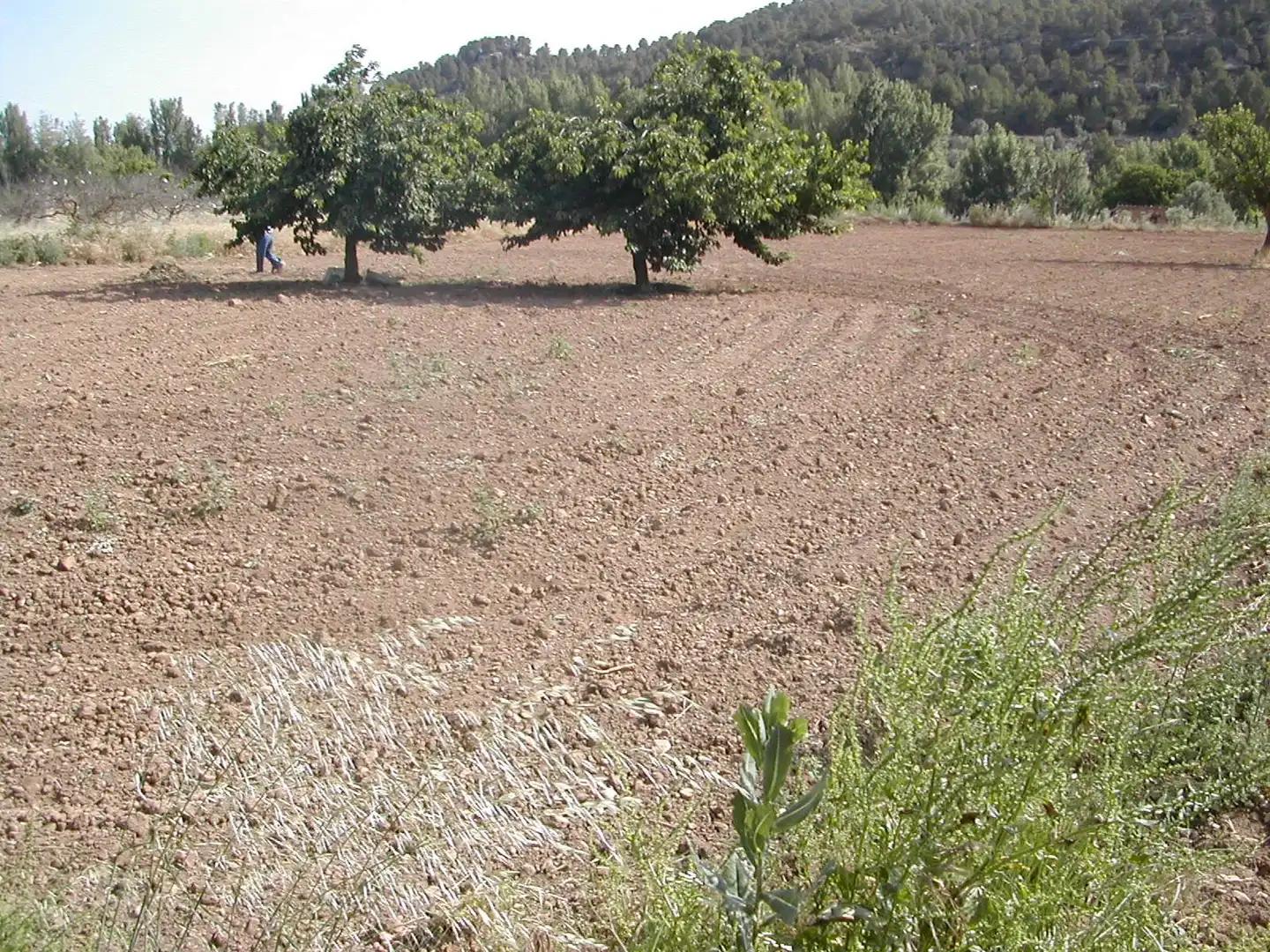 Finca en Venta en La Portellada