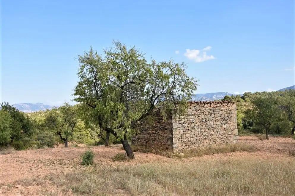 Parcela en Venta en Cretas