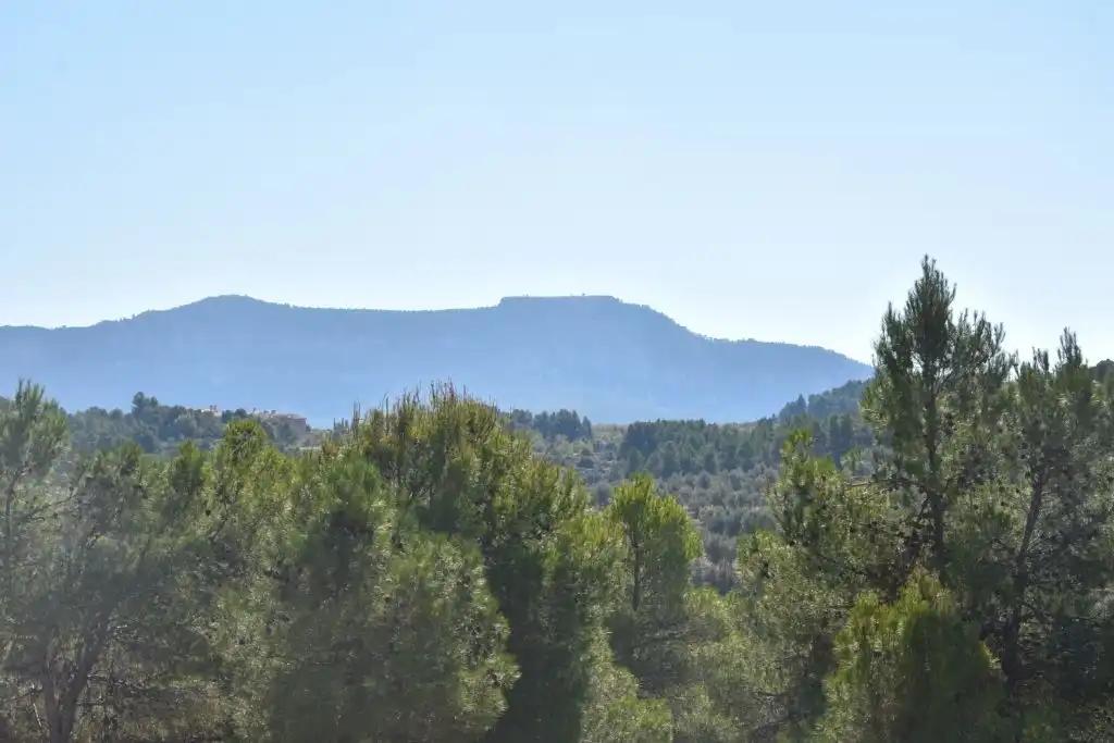 Finca en Venta en Valderrobres