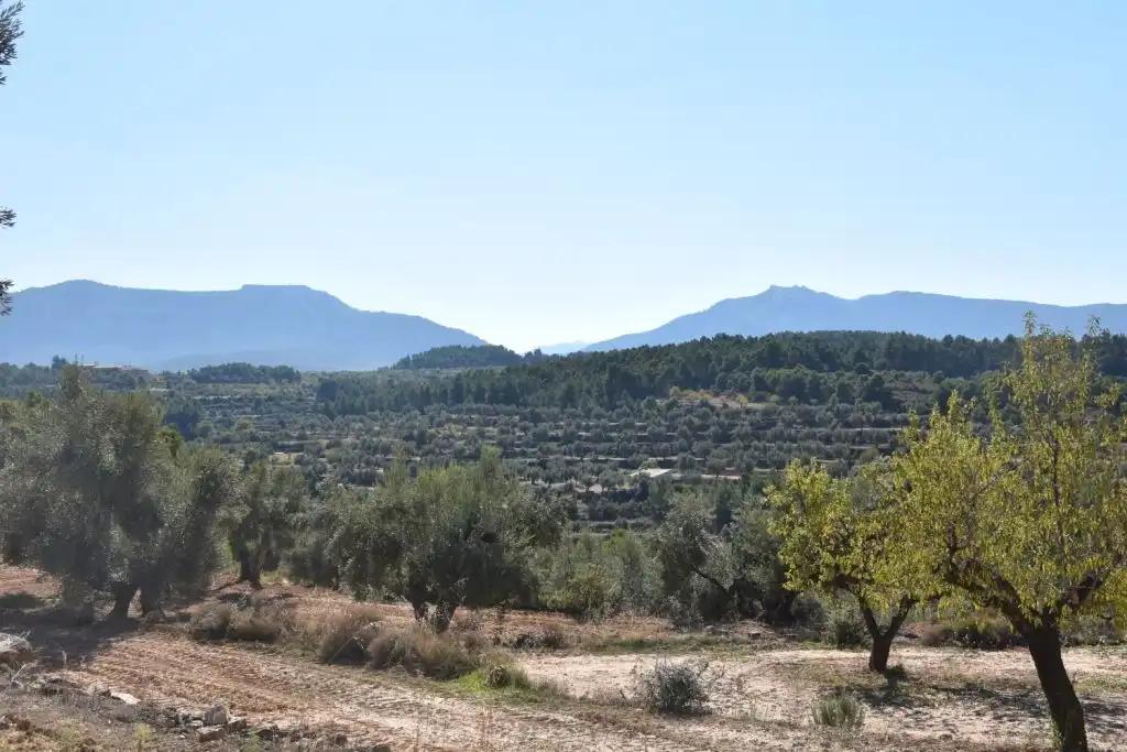 Finca en Venta en Valderrobres