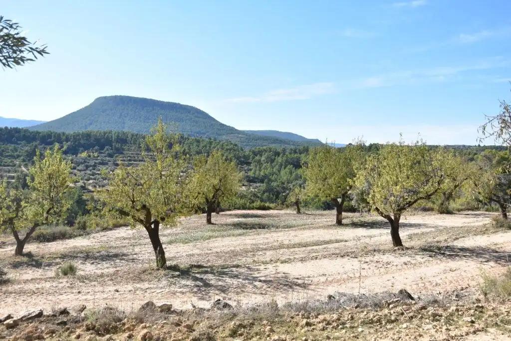 Finca en Venta en Valderrobres