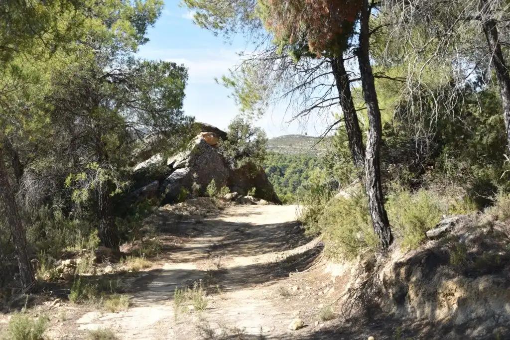 Finca en Venta en Valderrobres