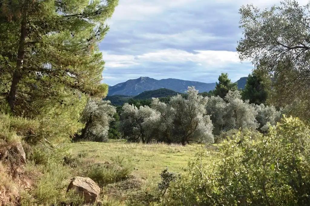 Finca en Venta en Valderrobres