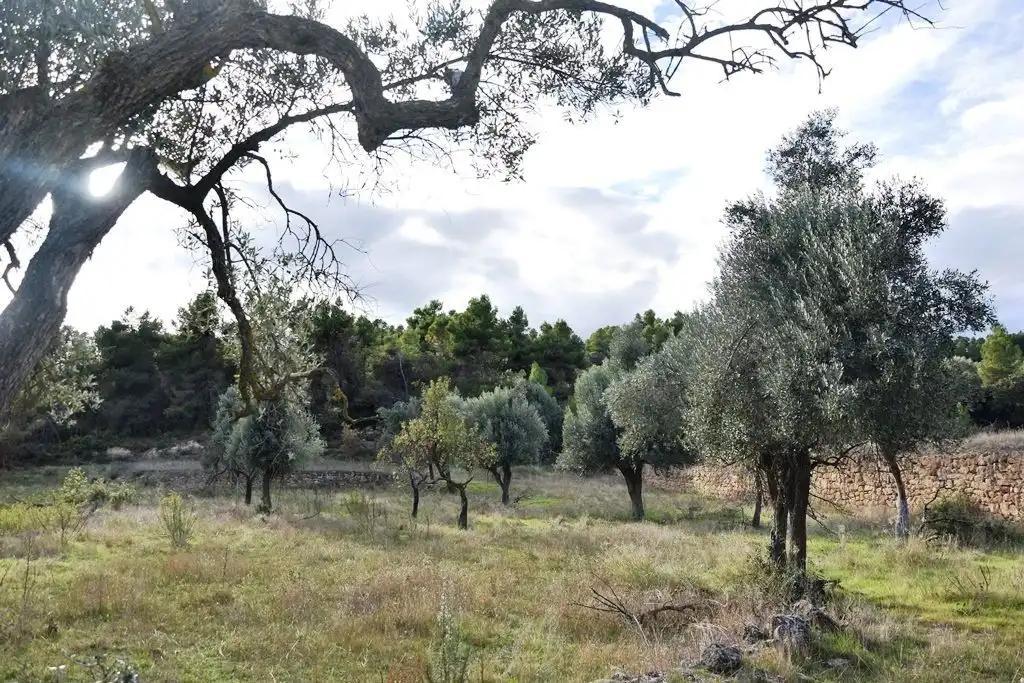 Finca en Venta en Valderrobres