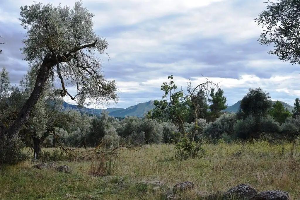 Finca en Venta en Valderrobres
