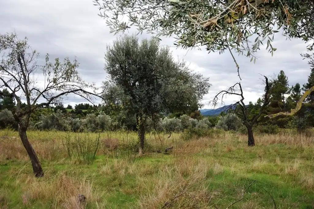 Finca en Venta en Valderrobres