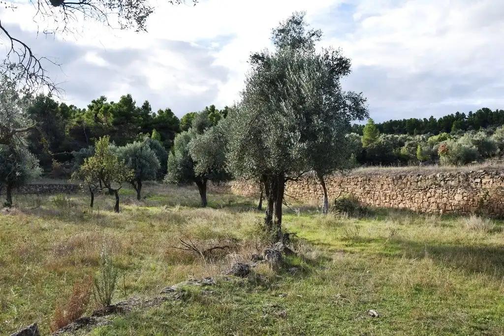 Finca en Venta en Valderrobres