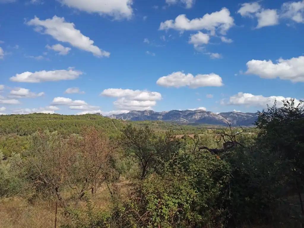 Parcela en Venta en Lledó