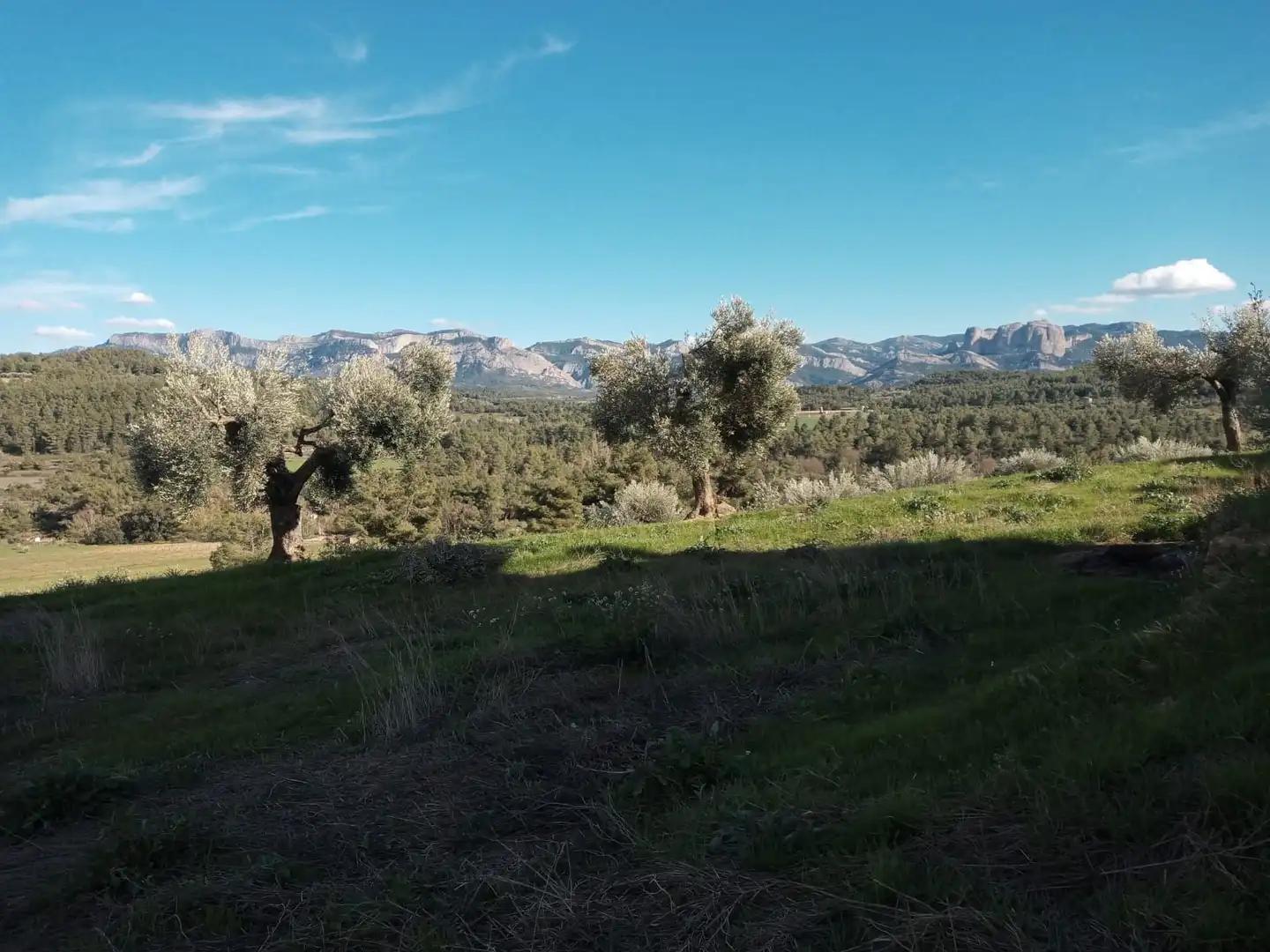 Parcela en Venta en Lledó