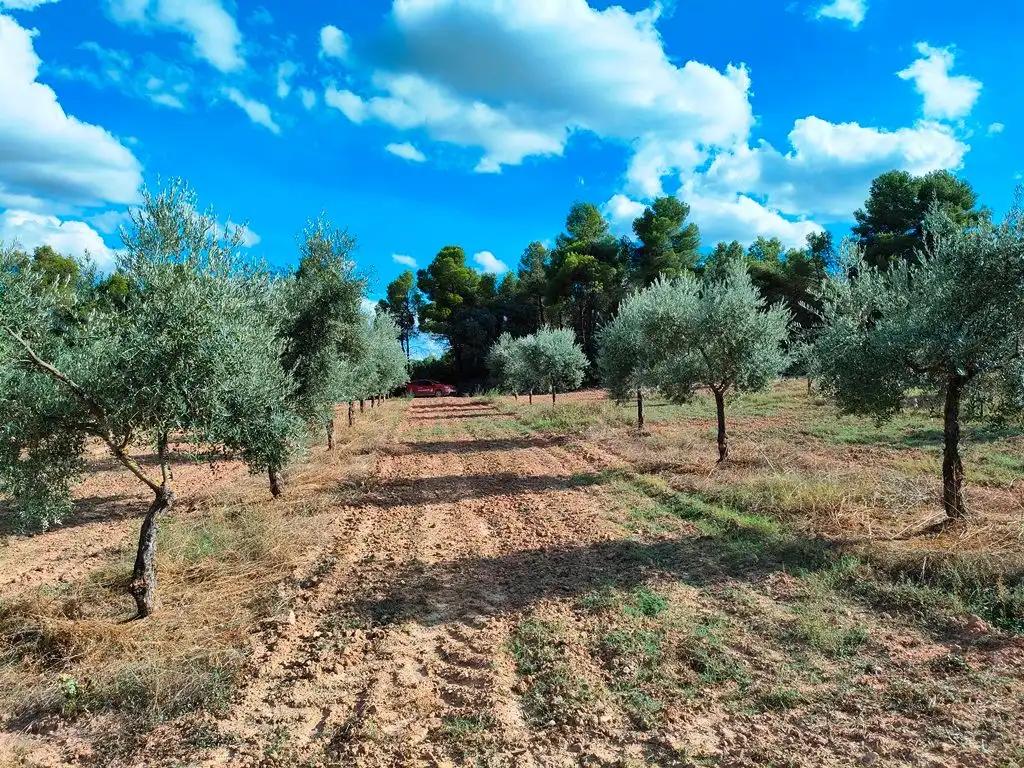 Casa en Venta en Cretas
