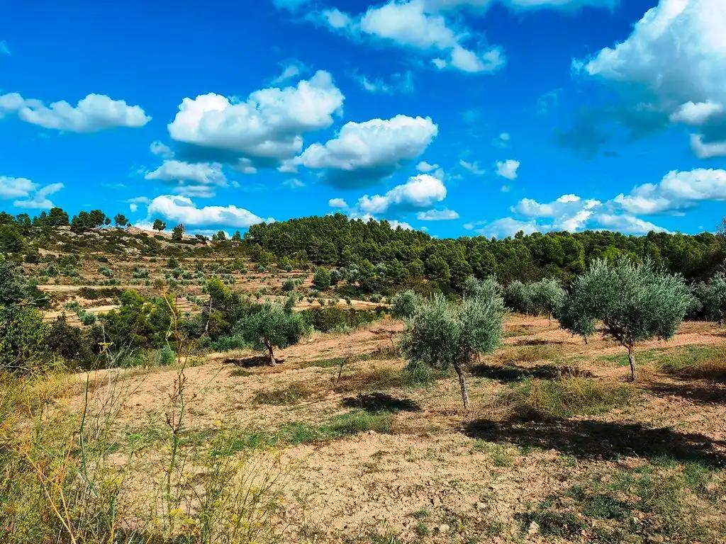 Casa en Venta en Cretas