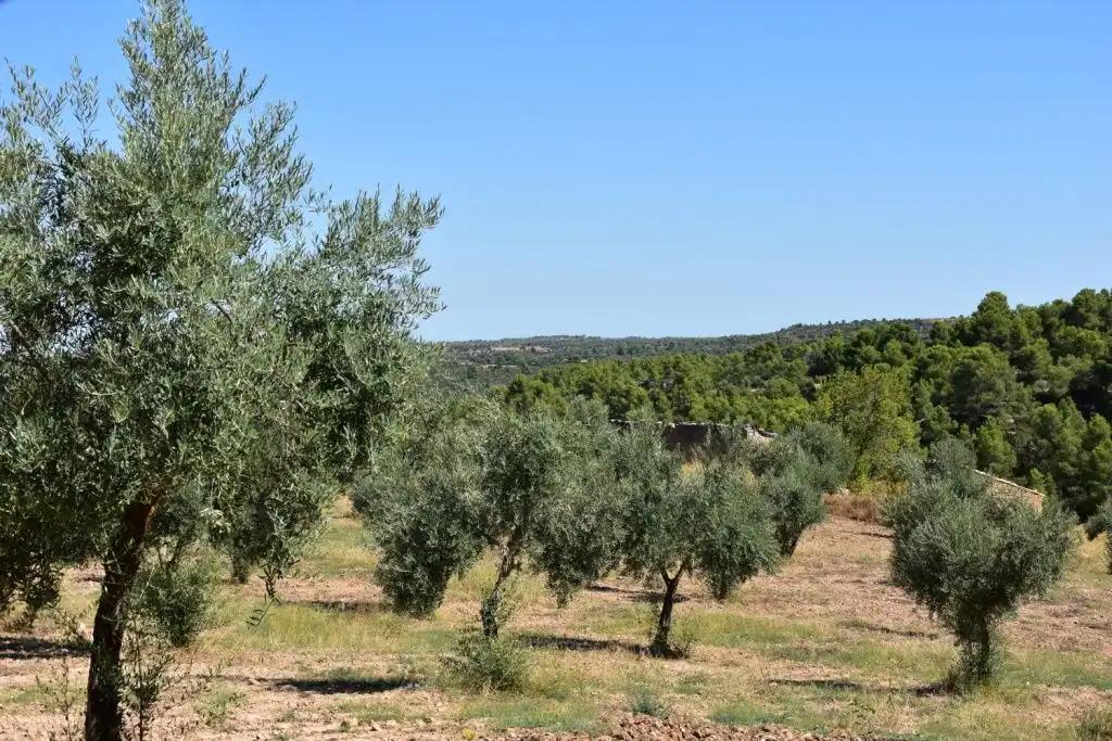 Casa en Venta en Cretas