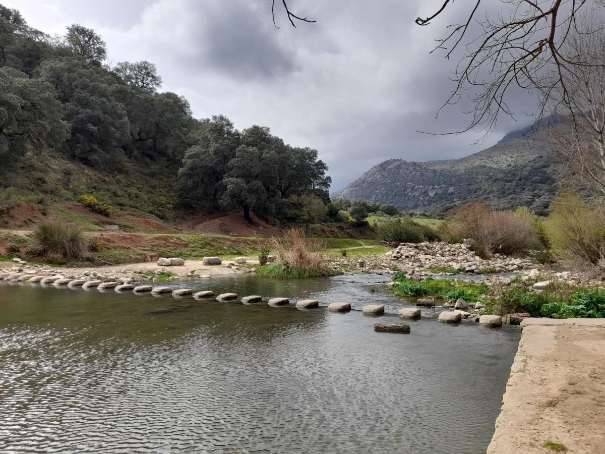 Adosado en Alquiler en Benaoján