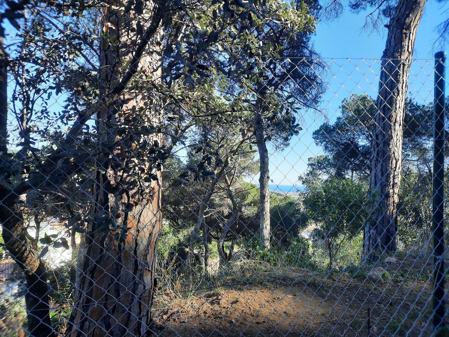 Plot for Sale in Premià de Dalt