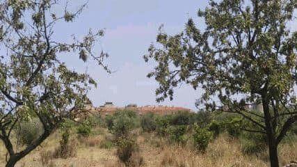 Plot for Sale in Benicasim