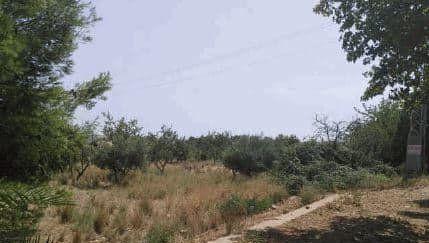 Plot for Sale in Benicasim