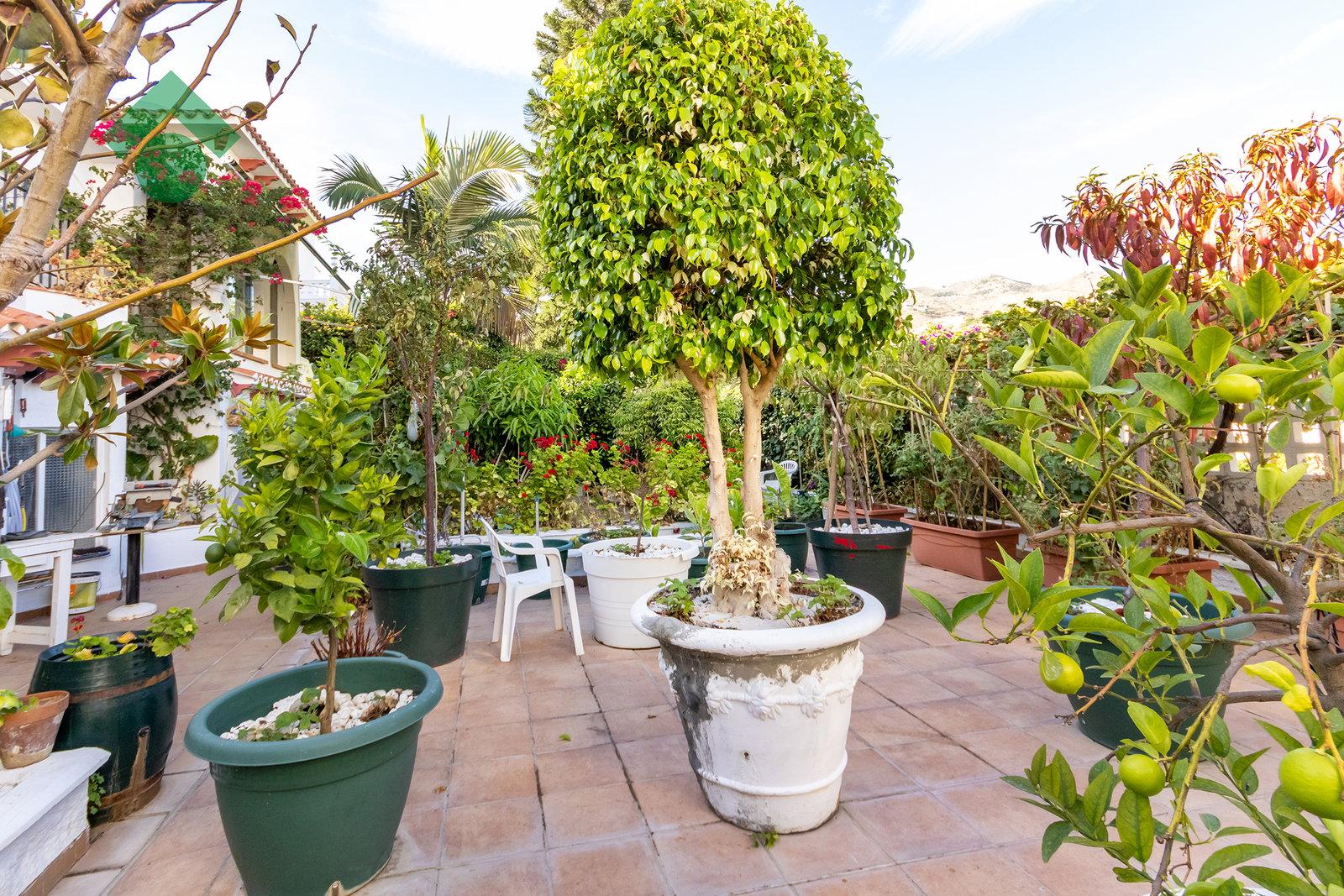 Villa for Sale in Almuñécar