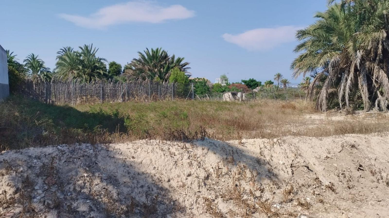 Finca en Venta en Elche