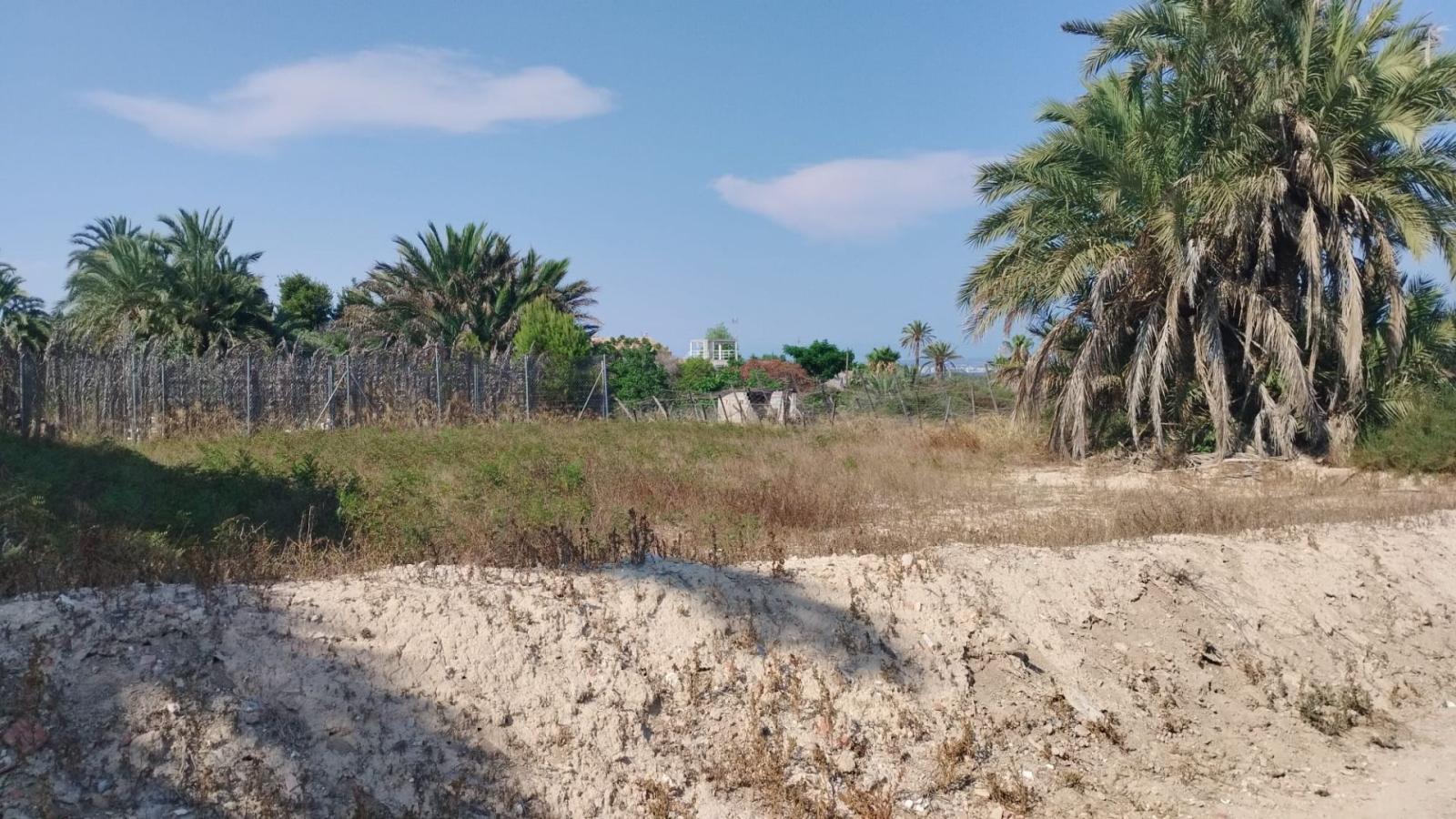 Finca en Venta en Elche