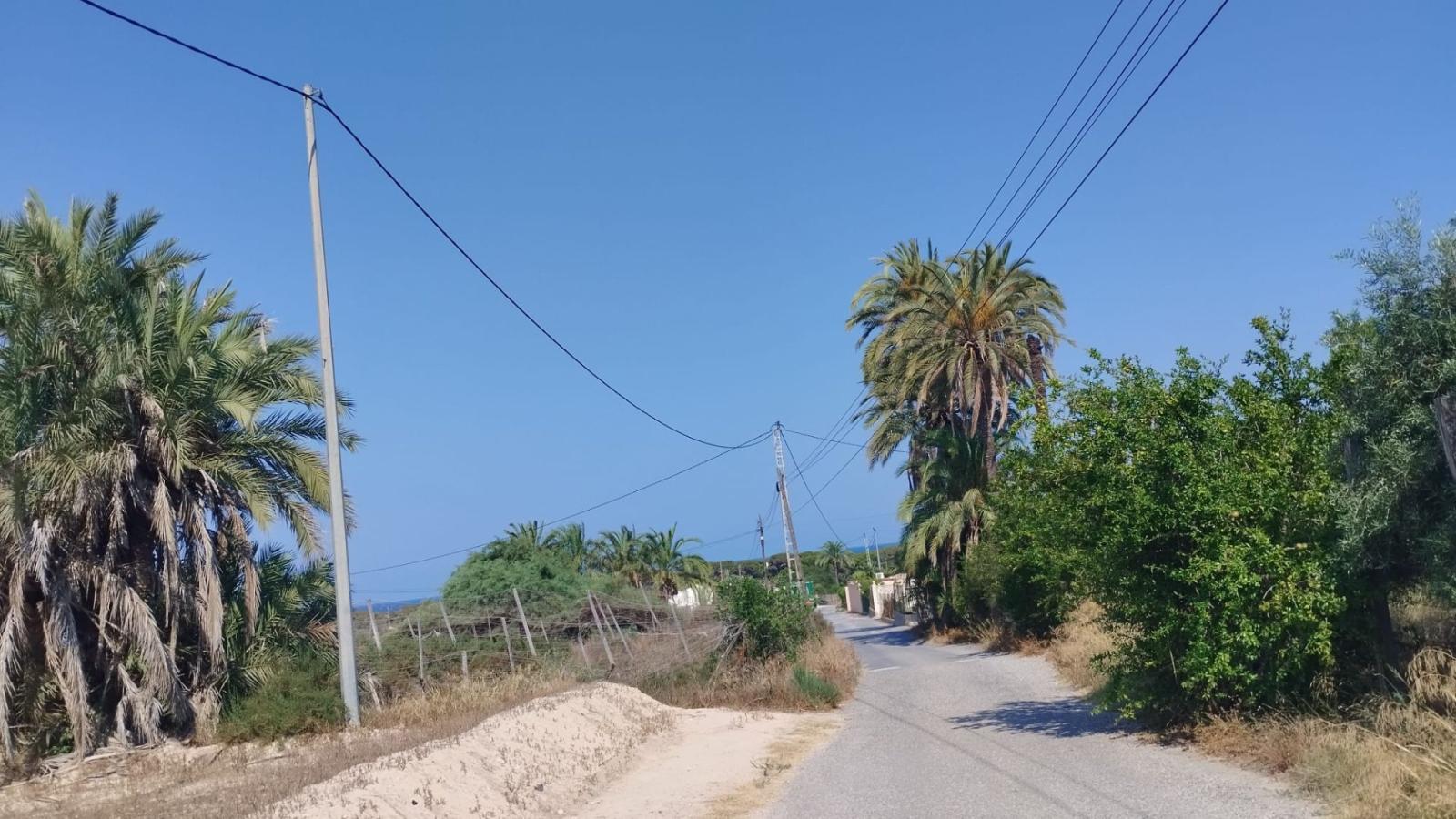 Finca en Venta en Elche