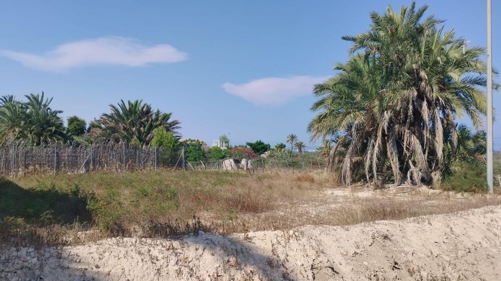 Finca en Venta en Elche