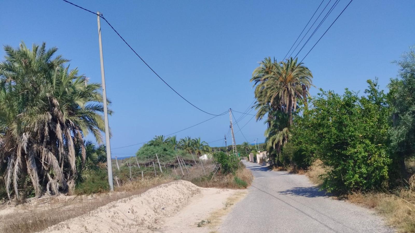 Finca en Venta en Elche