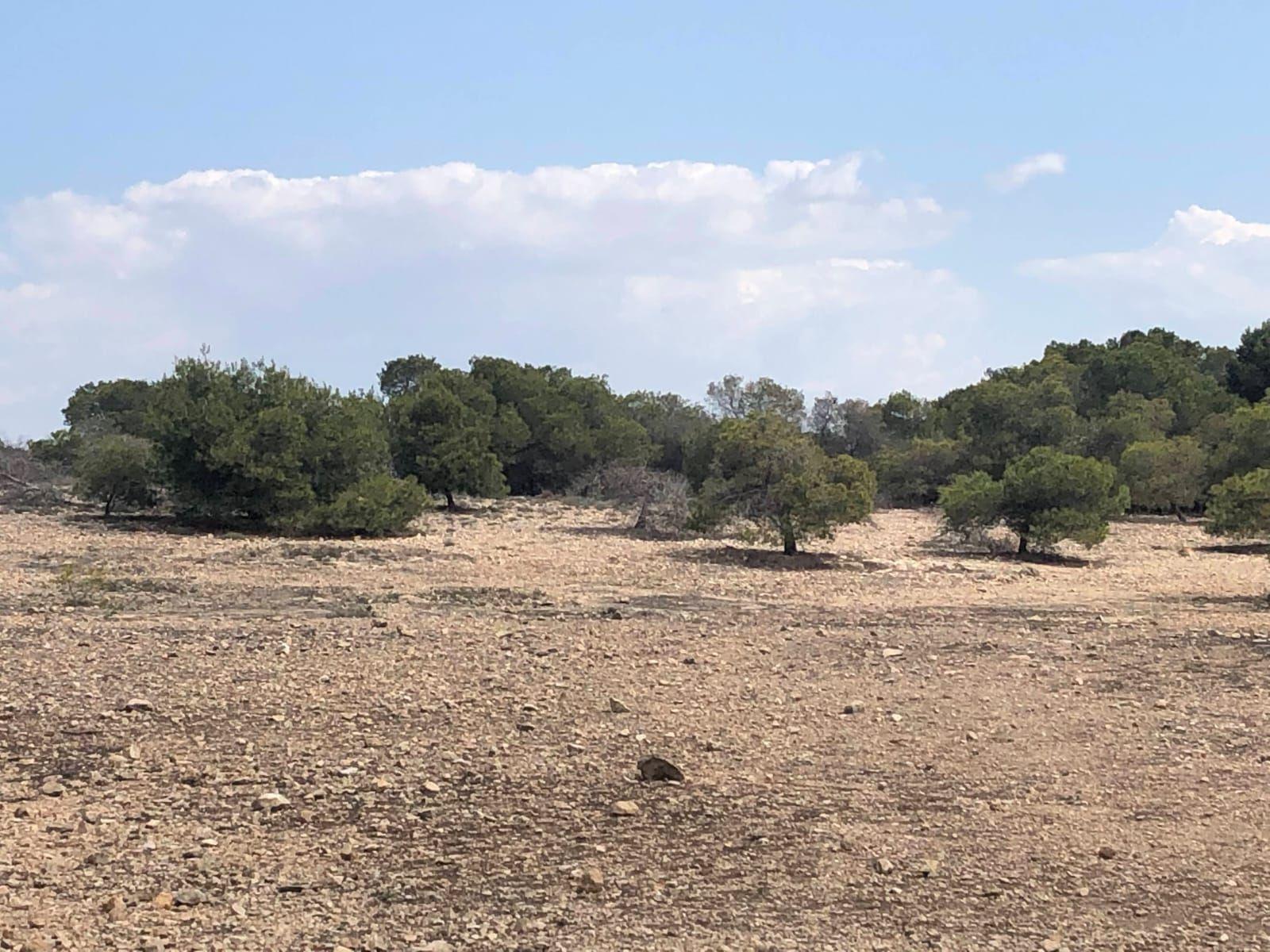 Apartamento en Venta en Elche
