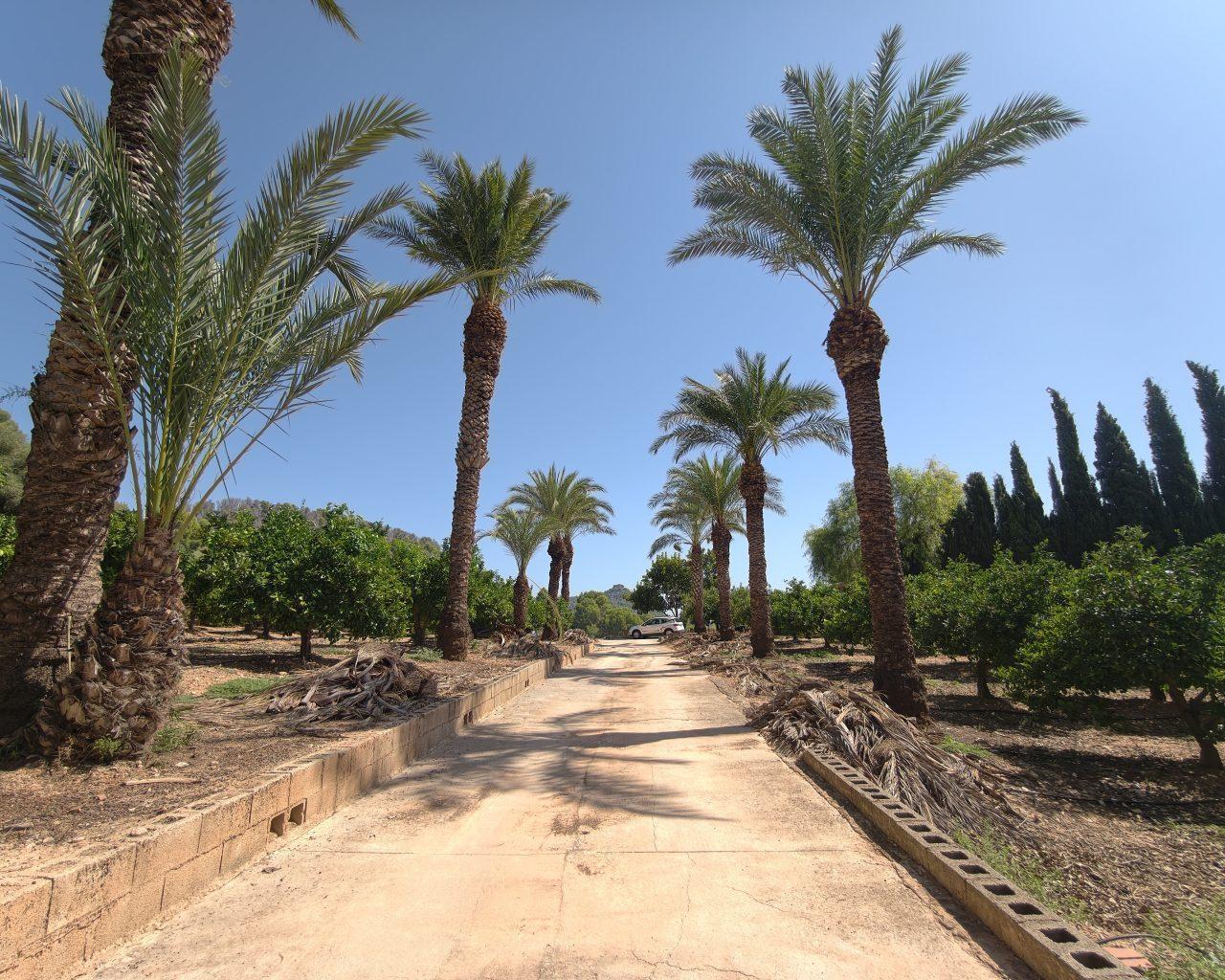 Villa for Sale in Gandia