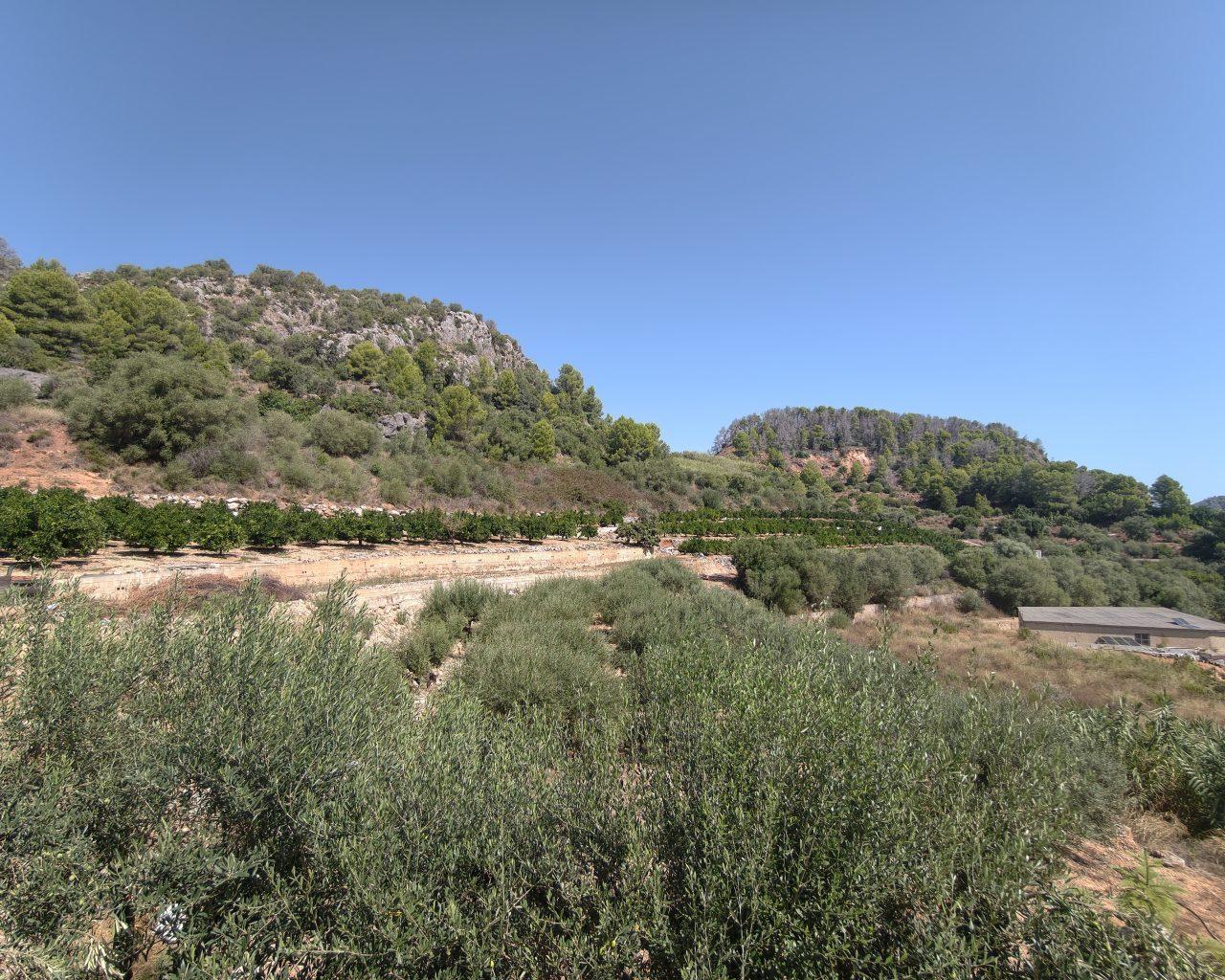Villa for Sale in Gandia