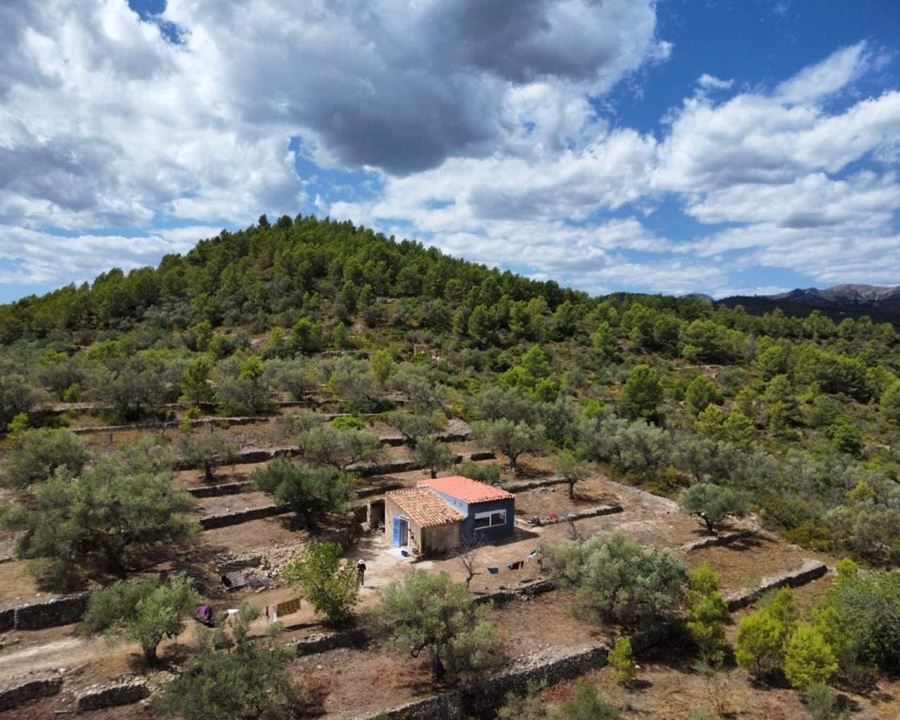 Finca en Venta en El Perelló