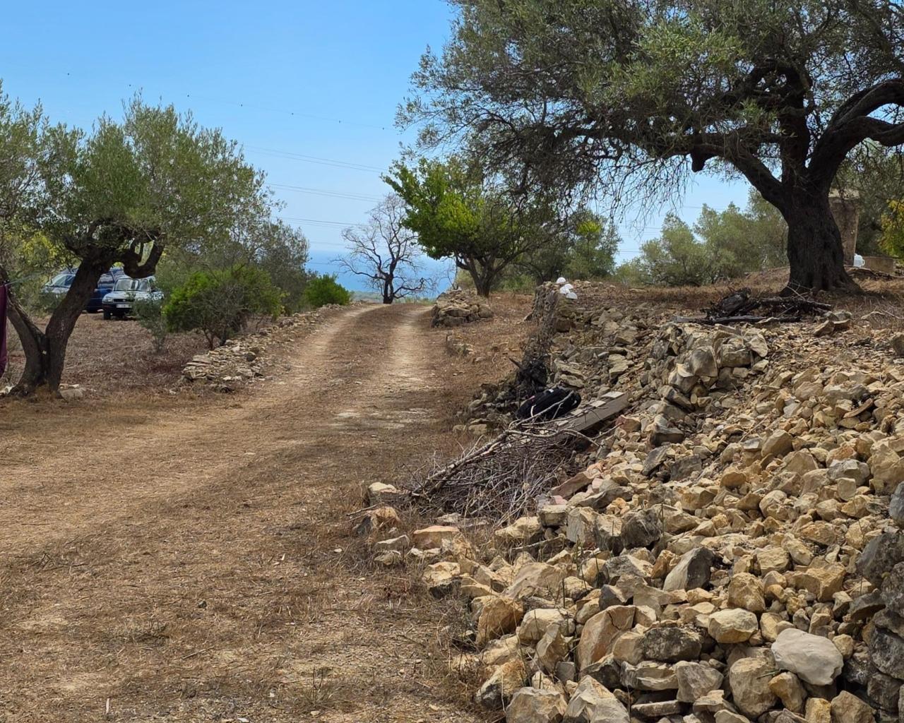 Finca en Venta en El Perelló