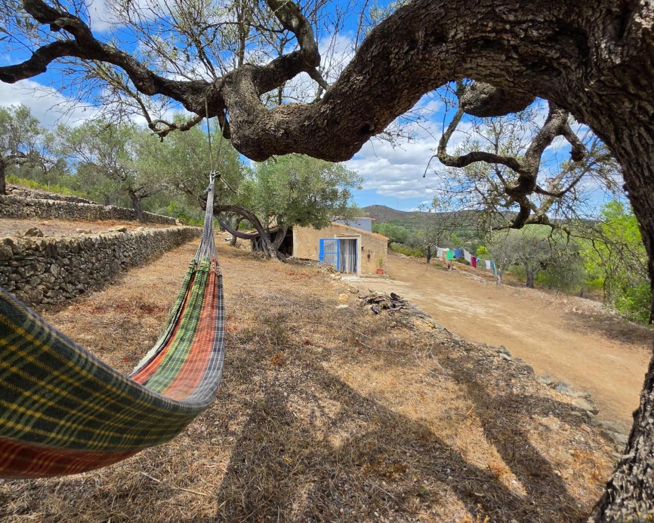 Finca en Venta en El Perelló