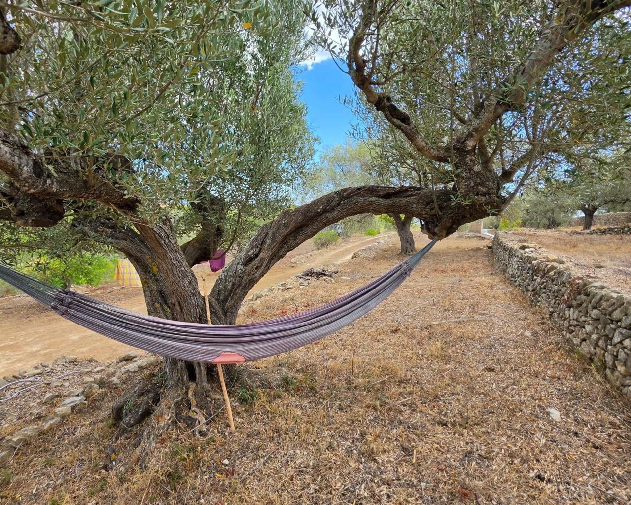 Finca en Venta en El Perelló