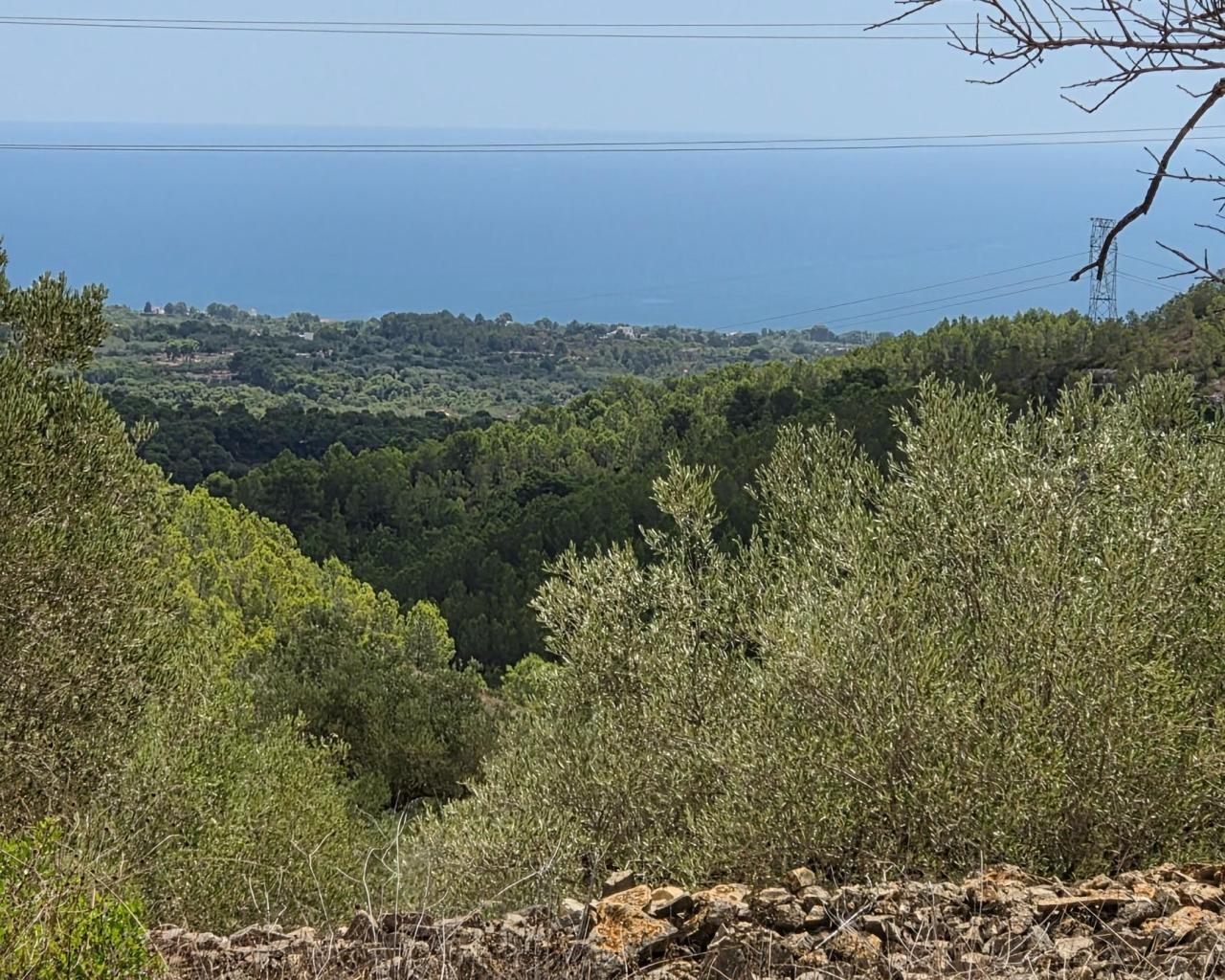 Finca en Venta en El Perelló
