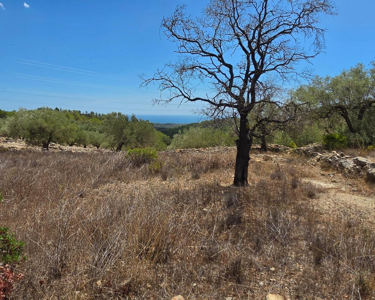 Finca en Venta en El Perelló