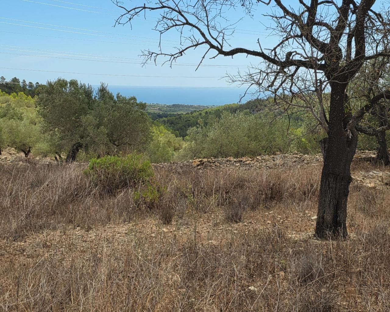 Finca en Venta en El Perelló