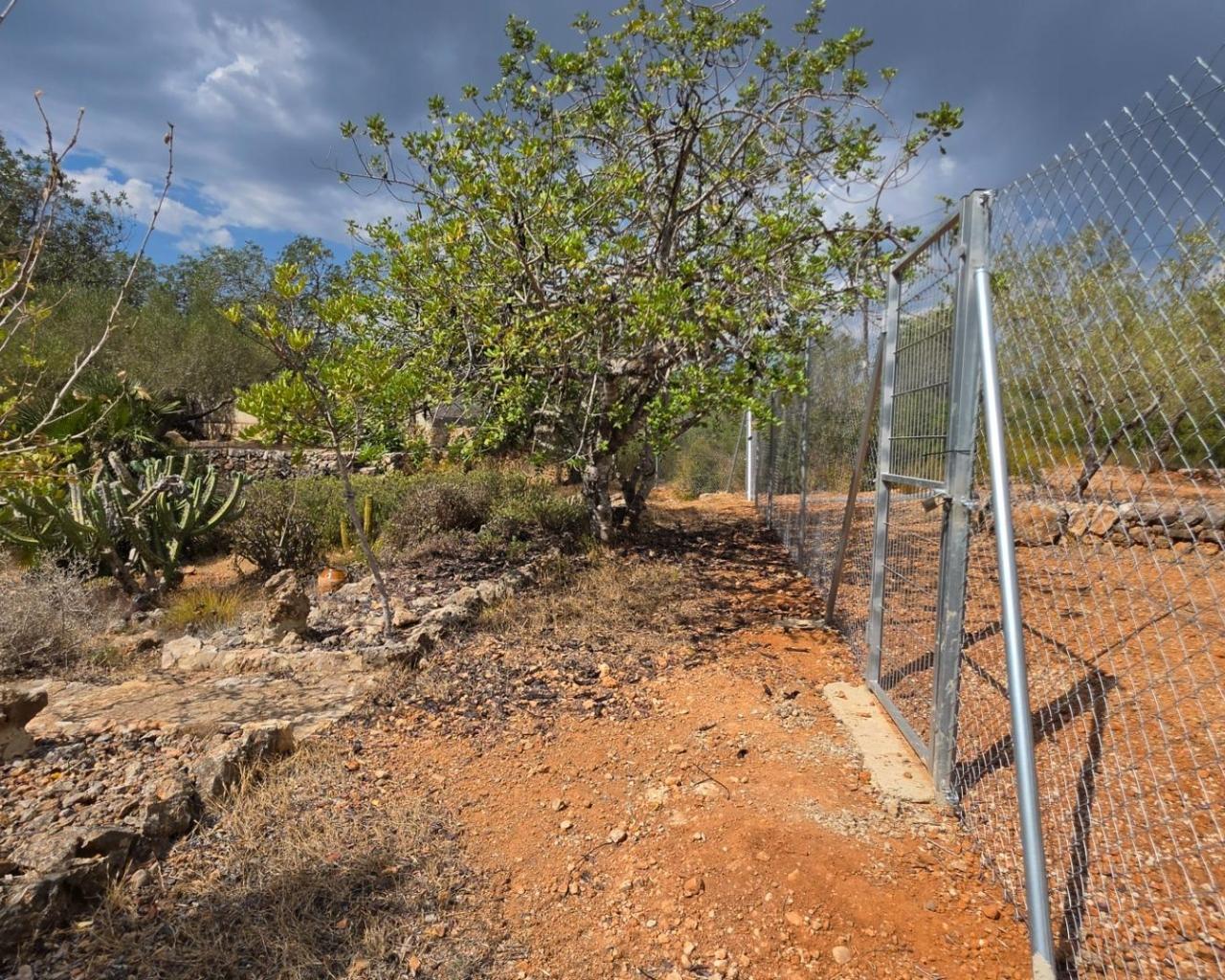 Finca en Venta en El Perelló