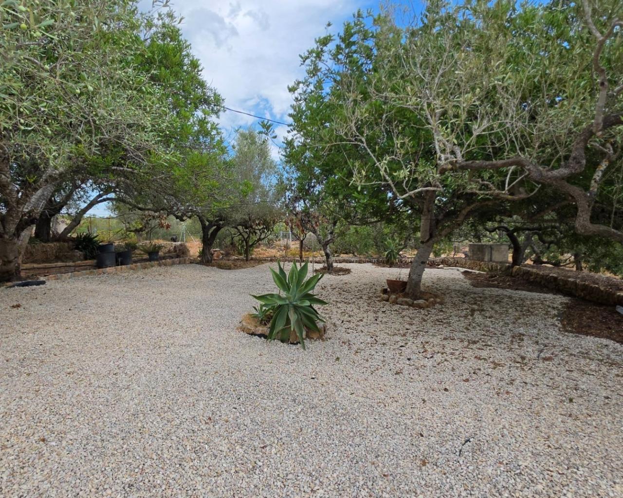 Finca en Venta en El Perelló
