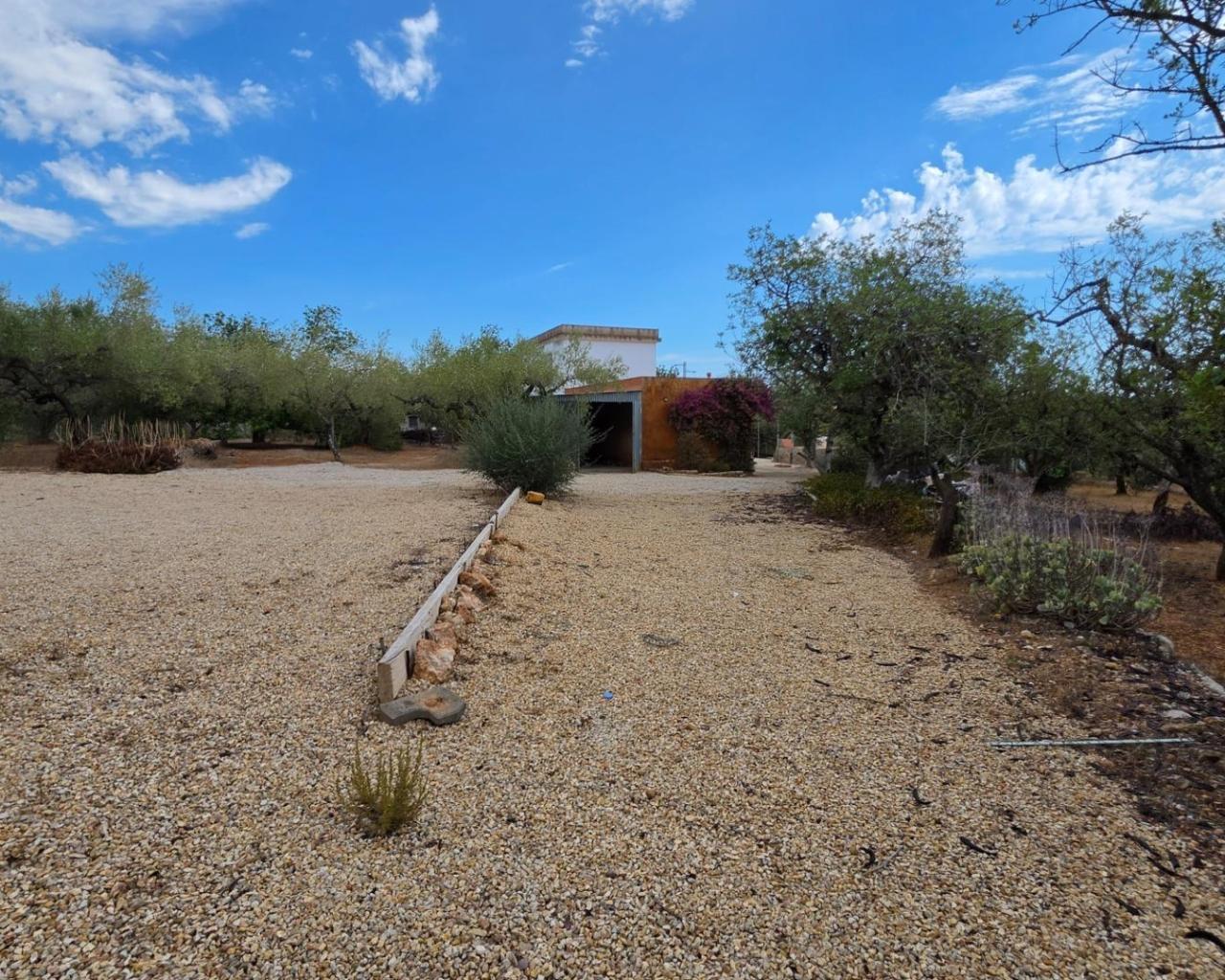Finca en Venta en El Perelló