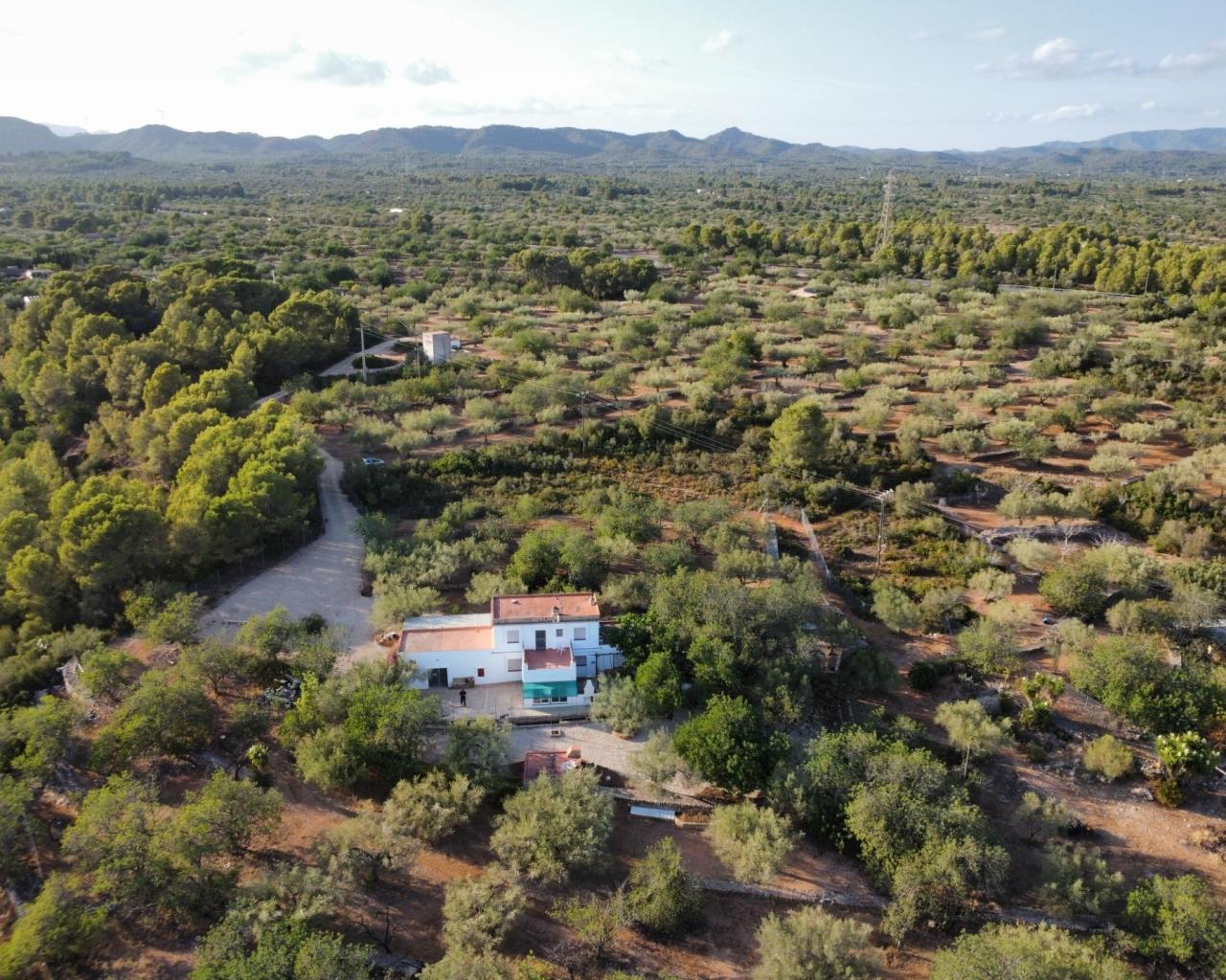 Finca en Venta en El Perelló
