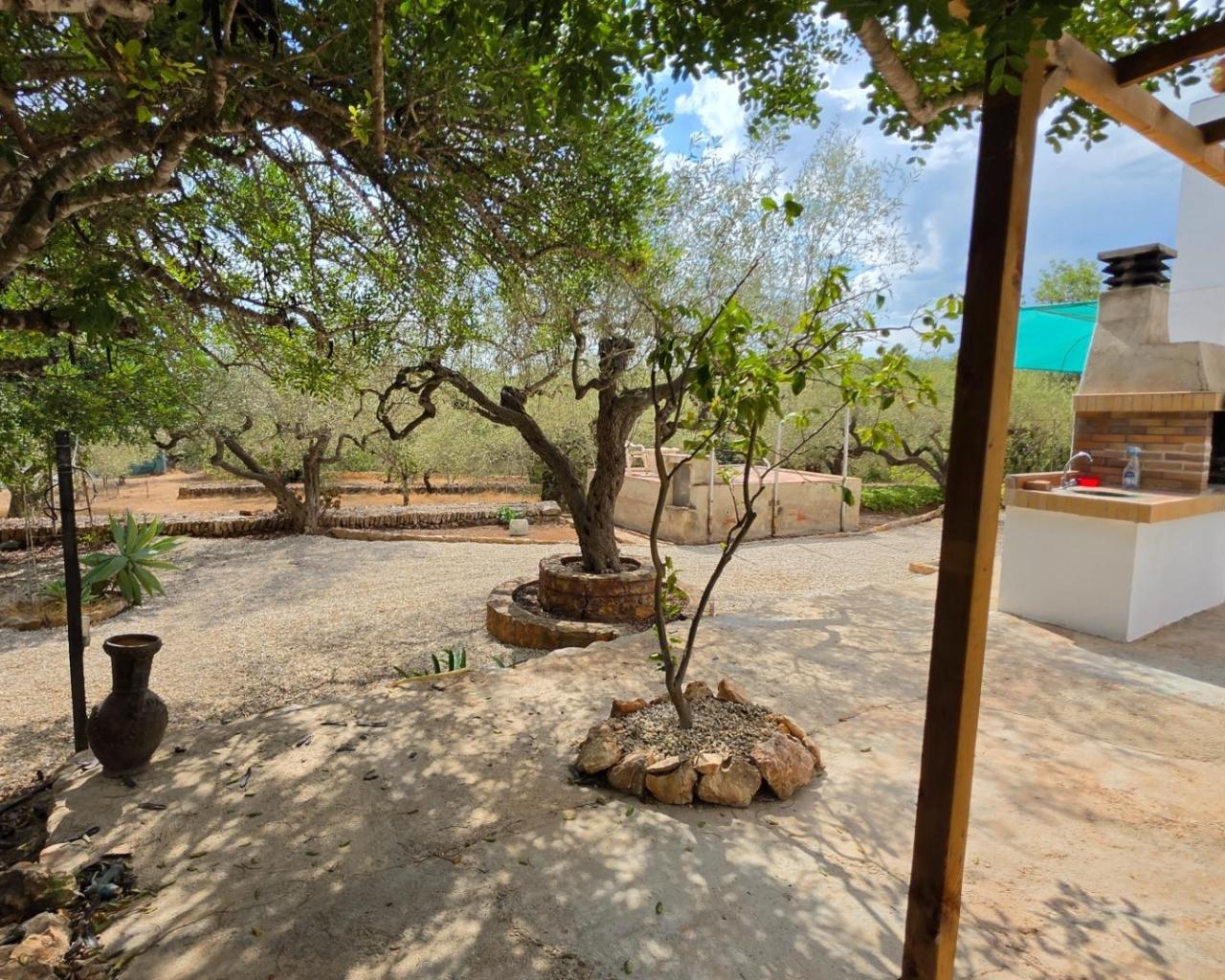 Finca en Venta en El Perelló